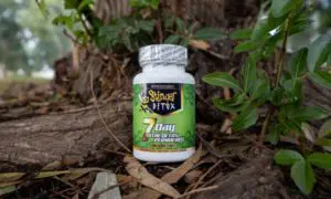 Stinger 7-Day Detox Review: Everything You Need To Know