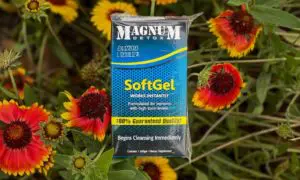 Magnum Detox SoftGel For a Drug Test: The Good and Bad
