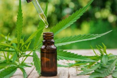 Are Delta 10 THC Tinctures Right For You?