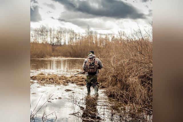 Hunter in camouflage wading through a marsh