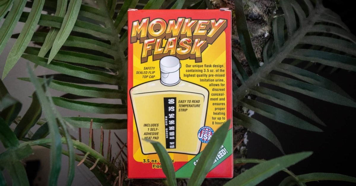 Monkey Flask Synthetic Urine Review Is It Worth Trying?