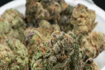 Delta 10 vs Delta 8 THC: Which is Better For You?