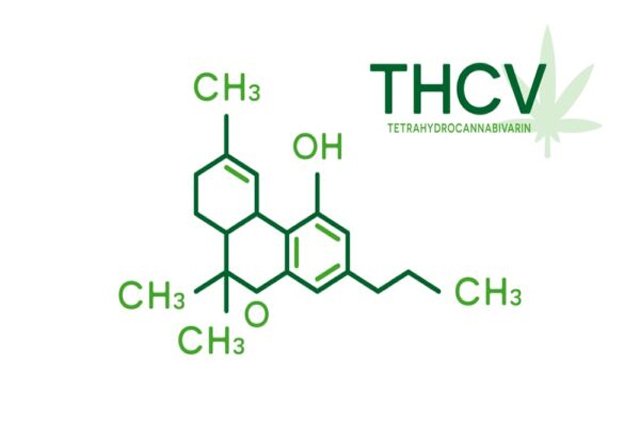 THCV Formula