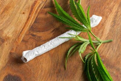 THCV Strains: Benefits & Best Strains To Try
