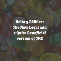 Delta 9 Edibles: Best Edibles to Try in 2021