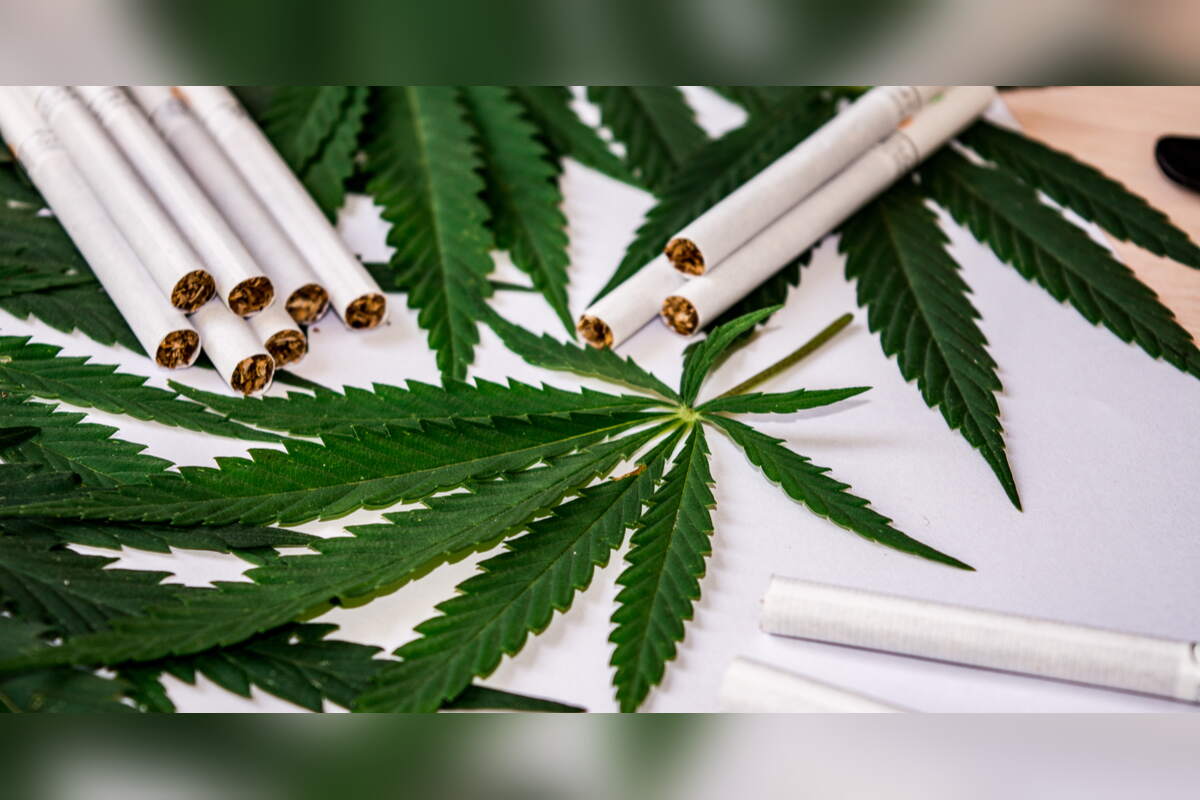 Delta-8 cigarettes scattered across cannabis leaves
