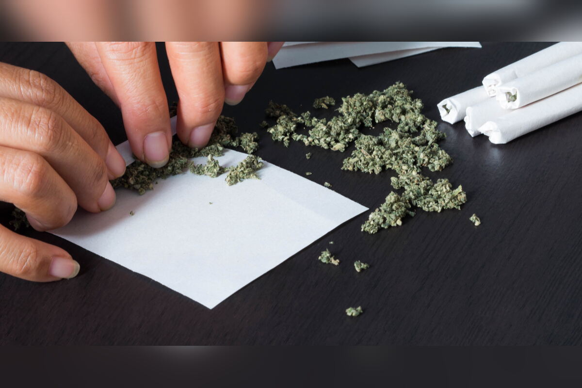 Hands rolling ground hemp flower into cigarette papers