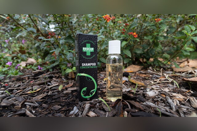 Rescue Detox Shampoo box and bottle among plants