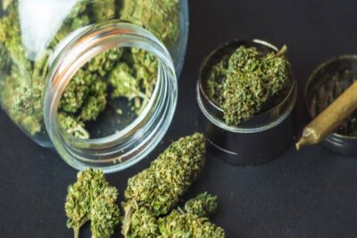 Top 5 CBN Flower Products