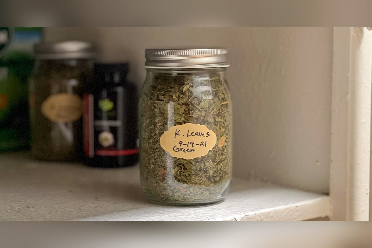 Jar of dried kratom leaves on a kitchen shelf