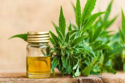 Top 5 THCV Oil Products