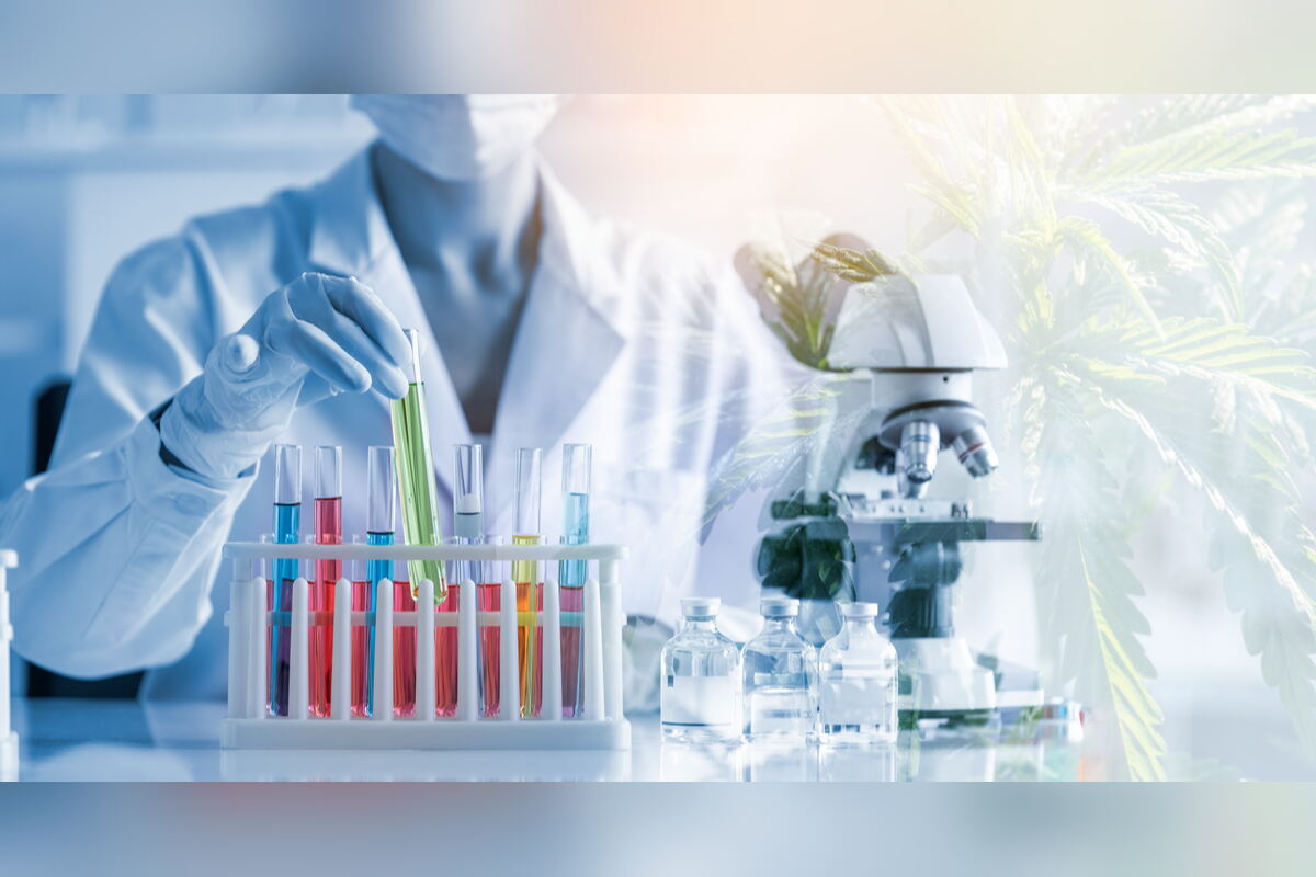 Scientist testing samples in colorful test tubes near hemp plants