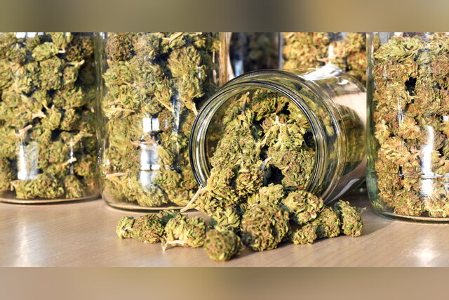 Glass jars overflowing with CBD hemp flower nugs