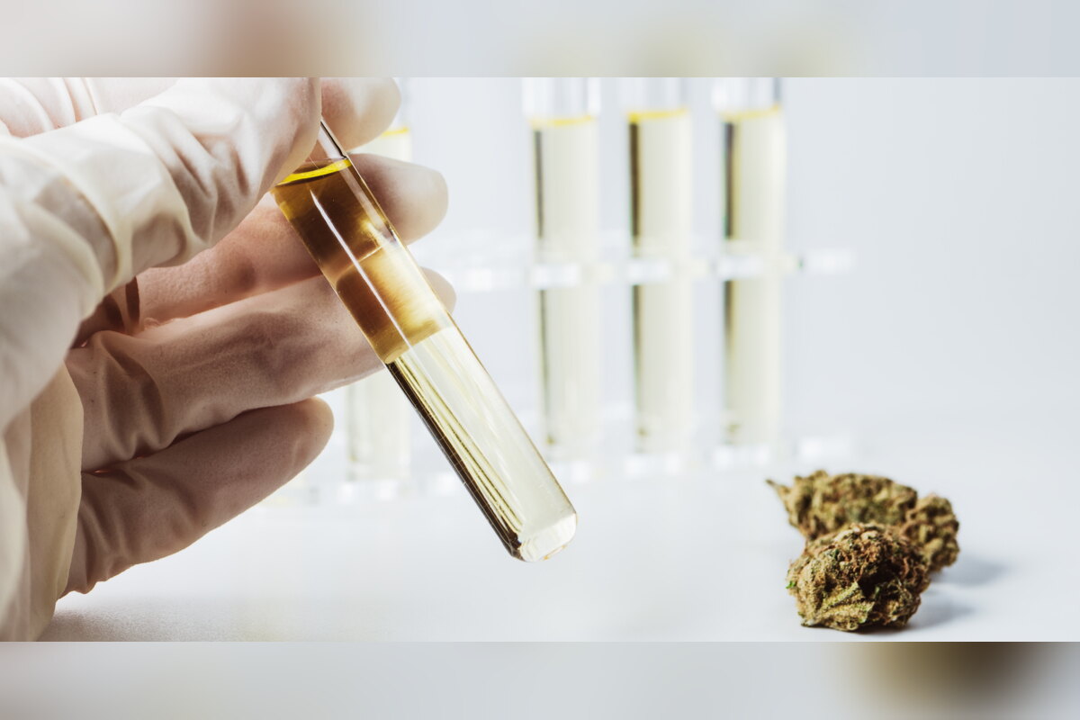 Lab technician holding a test tube of hemp oil next to a CBD bud