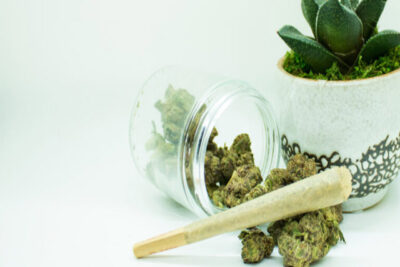 HHC vs Delta 10: Which is Best for You?