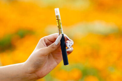 The Ultimate Guide to THC-O Cartridges: Exploring Potency, Comparisons, and Benefits