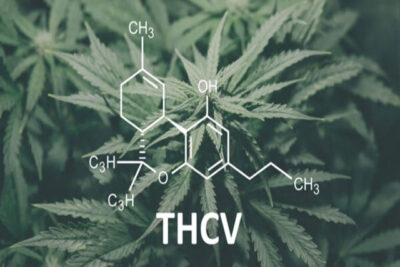 Top 5 THC V Carts