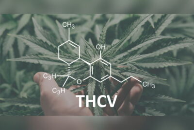 All You Need to Know About THC V