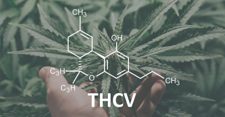 All You Need to Know About THC V