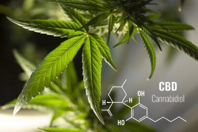 How To Identify High-Quality CBD For A Family Event?