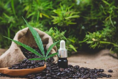 Navigating the Hemp Jungle: An Exploration of THC-O vs. Delta-8