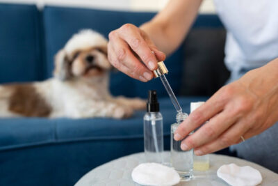 Can Dogs Take Human CBD?